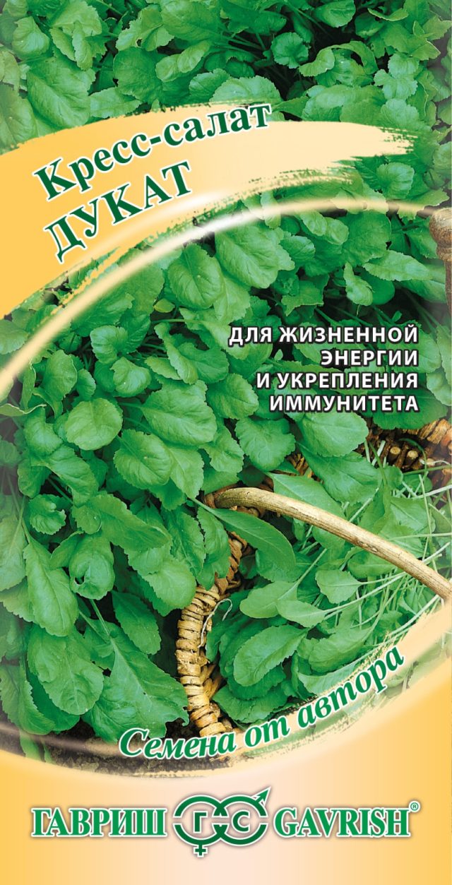 Кресс-салат «Дукат» — Ботаничка