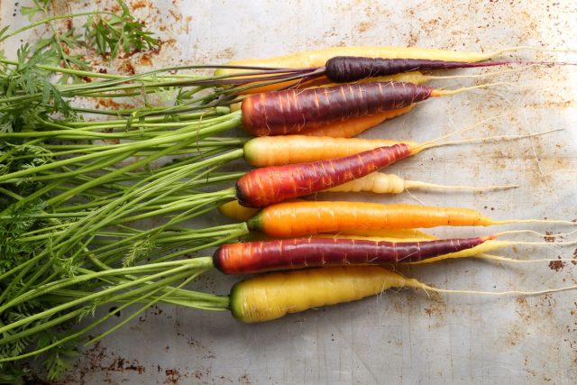 Морковная палитра — о разноцветной моркови