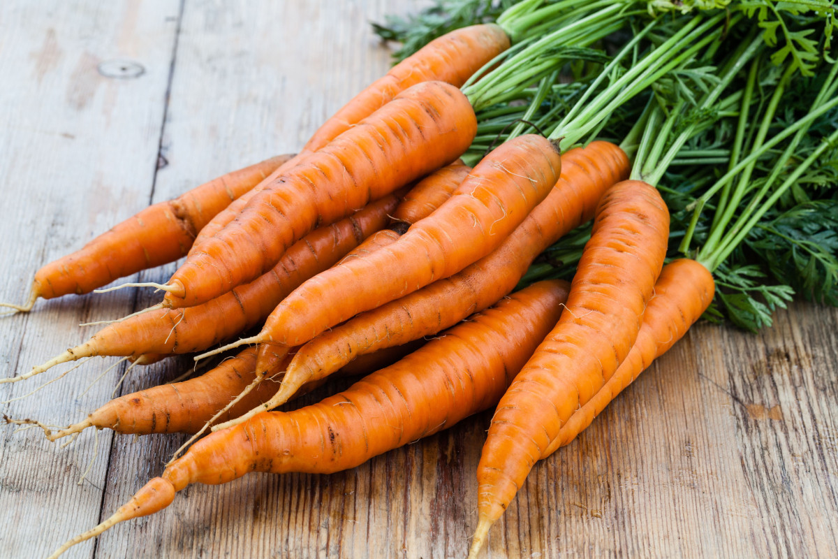 Морковная палитра: о разноцветной моркови, преображающей ваш сад и стол