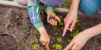 Чем заняться с детьми в саду? Интересные и простые занятия