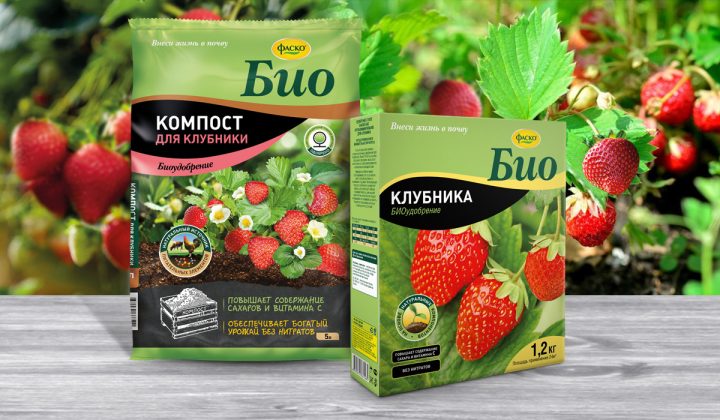 Как повысить урожай клубники? — Ботаничка