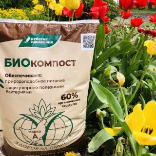 Биокомпост «Буйские удобрения» отлично разрыхляет почву и улучшает её структуру, а также повышает естественное плодородие за счёт содержания гуминовых веществ