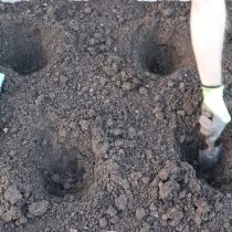 Подготавливаем посадочные ямы для нашей рассады. Вносим подходящие растениям удобрения
