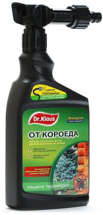Как избавиться от короеда в деревянном доме? — Ботаничка