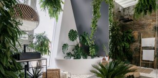 «Городские джунгли» — новый тренд озеленения квартир