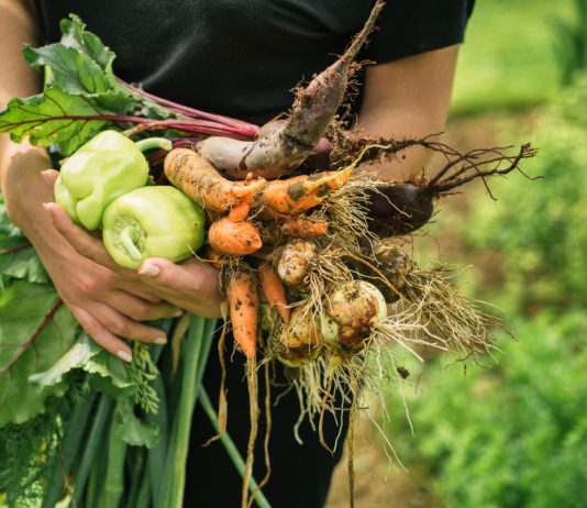 Органическое и традиционное земледелие – смешанная методика