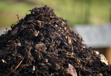 Чего нельзя делать с компостом осенью? - Сад и огород Чего нельзя делать с компостом осенью?