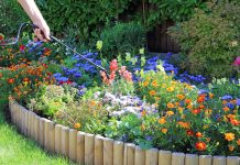 Привлекательные идеи ландшафтных бордюров - Цветник и ландшафт Привлекательные идеи ландшафтных бордюров