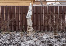 Зимние укрытия — зачем, как и чем? - Сад и огород Зимние укрытия - зачем, как и чем?