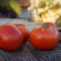 Плоды помидора «Серебристая ель»