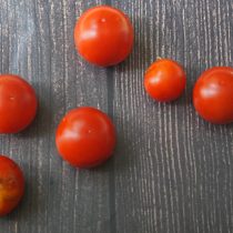Томат «Ирландский пестролистный» — это сортовой помидор с пестрыми листьями
