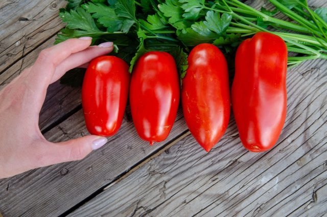 Важно и то, что после маринования томаты Самкон не теряют привлекательной окраски, сохраняют форму в банке и на тарелке и остаются такими же аппетитными на вид.
