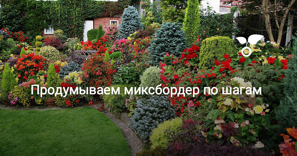 Миксбордер своими руками: схема, подбор растений + фото