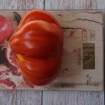 Вес выращенного томат «Кунео гигантская
