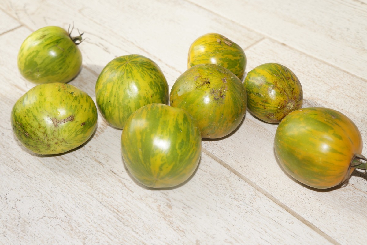 Зеленоплодные томаты — о сортах и особенностях «зеленых» плодов. Фото иописание — Ботаничка