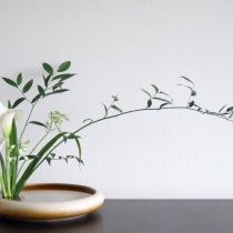 Яркое отличие стиля Морибана в том, что растения ставят на низкие и плоские вазы, больше напоминающие тарелки, которые наполнены водой