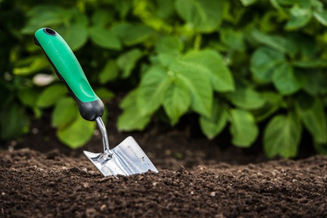 5 лайфхаков для садоводства, которые не работают