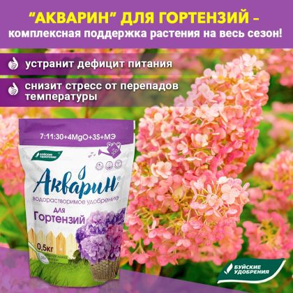 Разбираемся в гортензиях и уходе за ними — Ботаничка