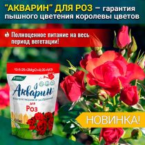 «Акварин» для роз необходимо вносить раз в 10-15 дней (7-15 г на 10 л)