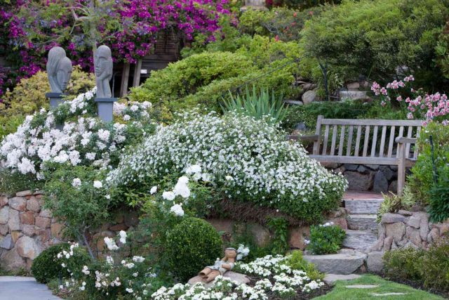 Цветущий сад в белом цвете