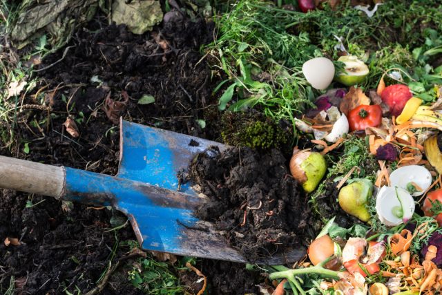 Траншейное компостирование — идеальный метод для ленивых огородников