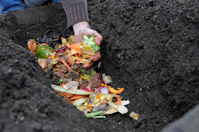 Траншейное компостирование — идеальный способ избавиться от остатков овощей с вашей кухни