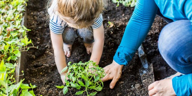 Малыш помогает садить растения