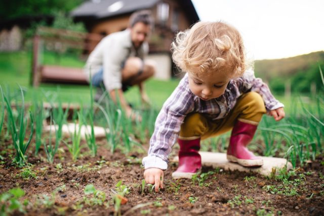 Ребенок помогает на огороде