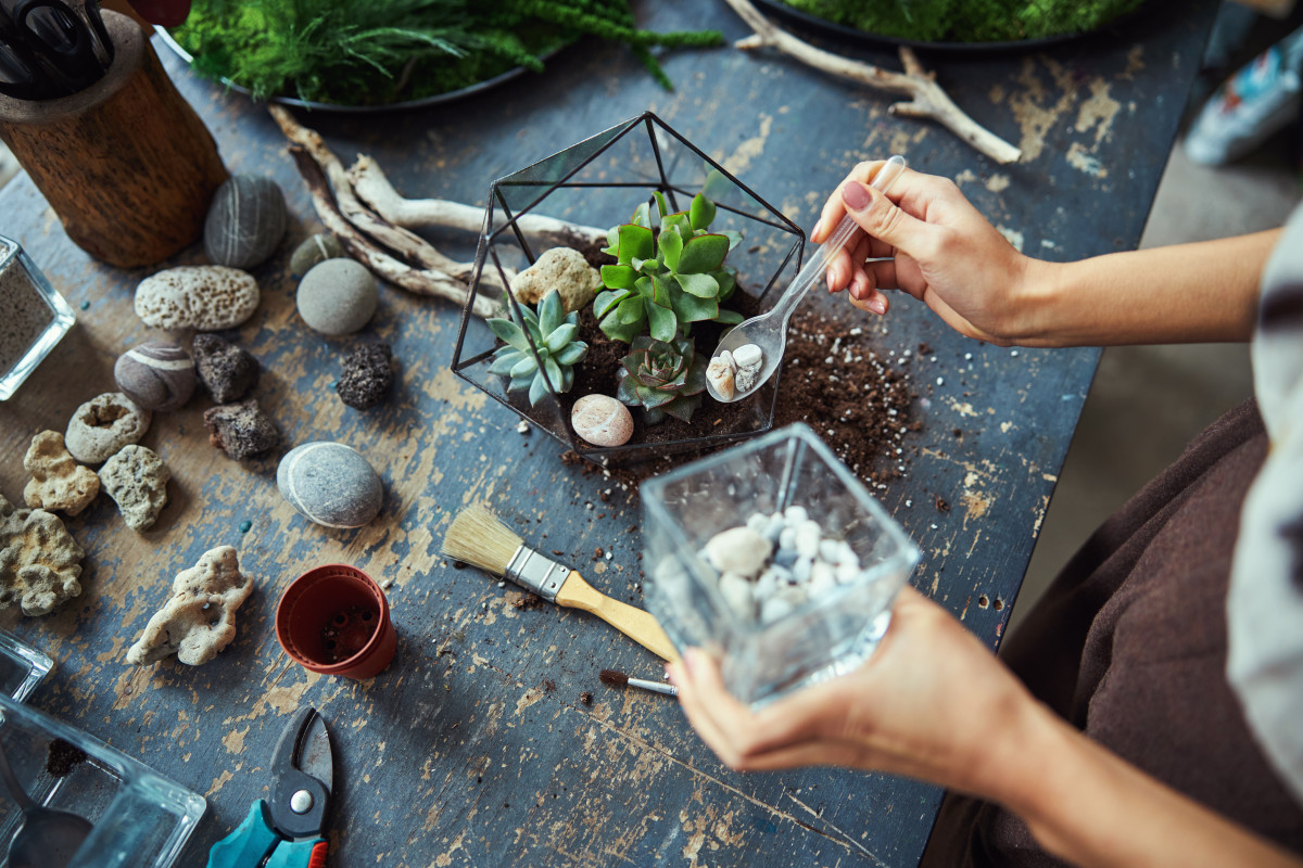 Как сделать флорариум своими руками: инструкция пошагово, видео, фото и полезные советы