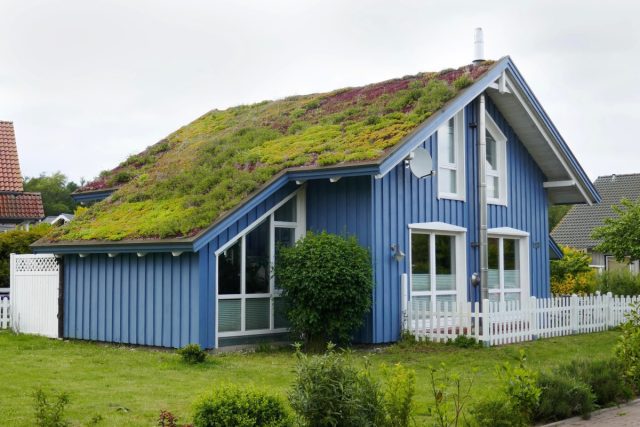 «Зеленые» крыши, крытые дерном и поросшие травой. © familyhandyman