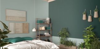 24 растения для спальни — как создать уютную и оздоравливающую атмосферу
