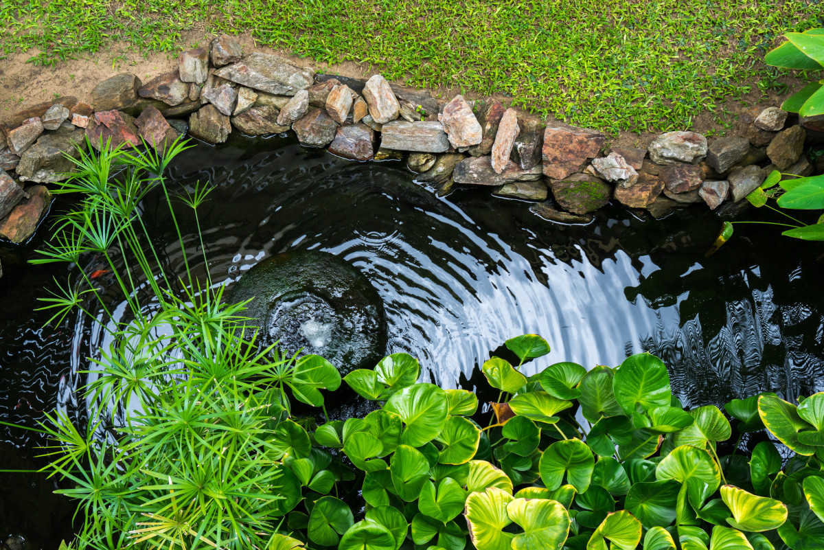 Какой построить пруд: 10 простых идей для садового водоема. Фото — Ботаничка