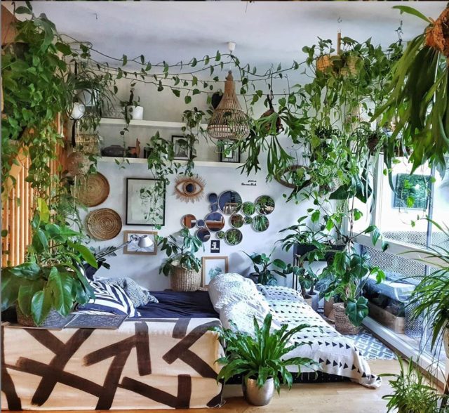 Спальня, наполненная зелеными растениями 