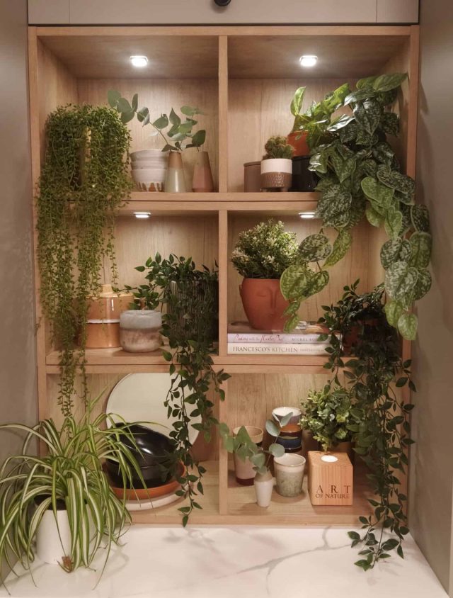 Открытый кухонный шкаф, декорированный комнатными растениями