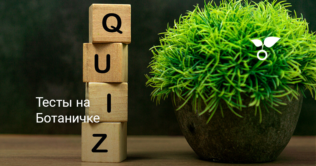 Тесты на тему садоводства, дачи и растений. Узнайте свой уровень ...