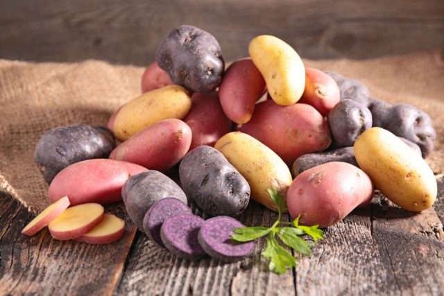 «Чёртово яблоко» — как картофель из богохульной стал любимейшей культурой