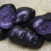 Сорт картофеля «Вителот»