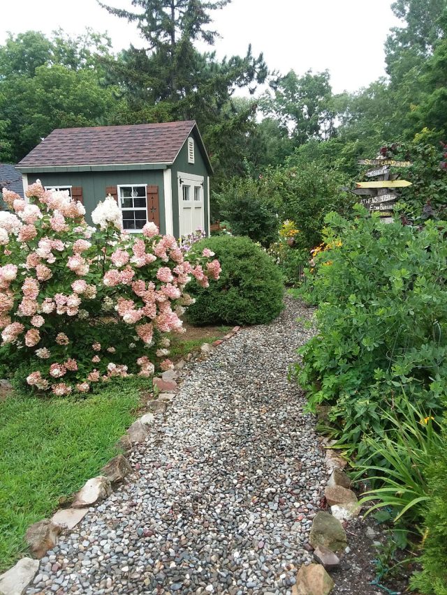 Сад с розовыми гортензиями