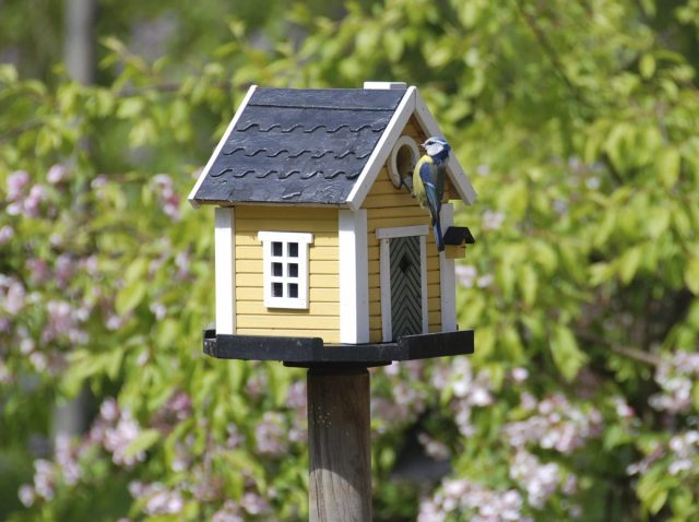 Желтый деревянный домик для птиц