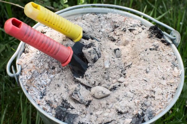В отличие от растительной золы, зола из каменного угля не является фосфорно-калийным удобрением