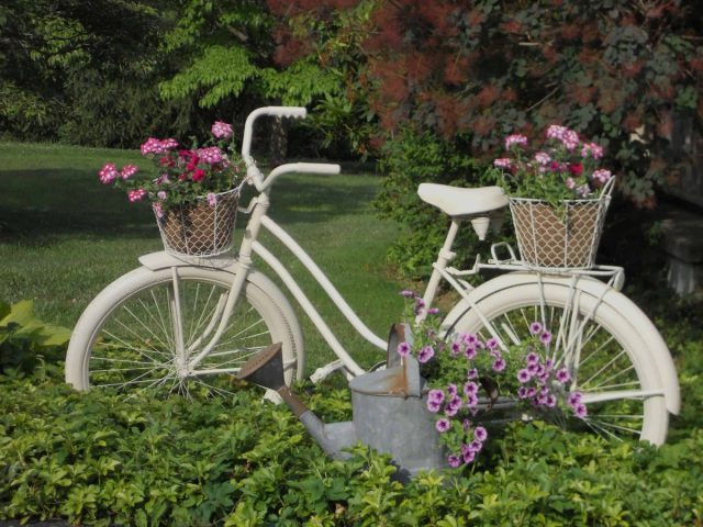 Старый велосипед тоже пригодится, только покройте его краской и поставьте в цветник