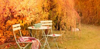 Долой осеннюю хандру — 10 идей для вдохновляющего осеннего сада