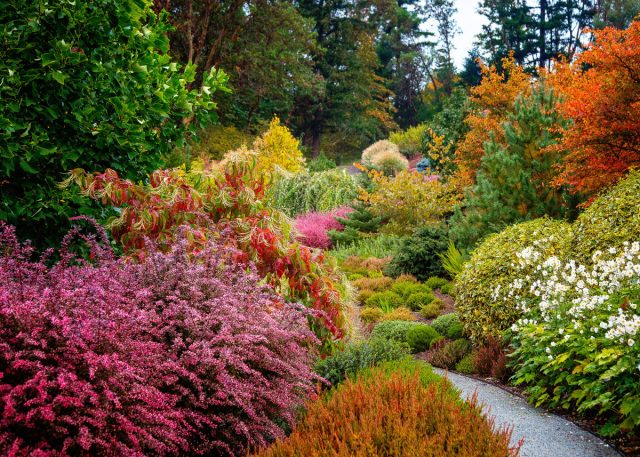 Осенний сад - одно из самых романтичных и сказочных мест