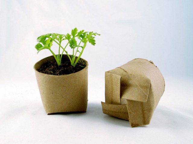 Из трубочек туалетной бумаги можно сделать небольшие биоразлагаемые горшочки для посева семян весной