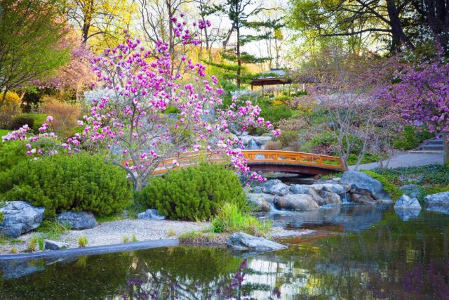 Садово-парковое искусство Японии сформировалось на стыке китайской ландшафтной архитектуры, завезенной на острова в 6 веке, и синтоистской традиции окружать священные места галечными площадками