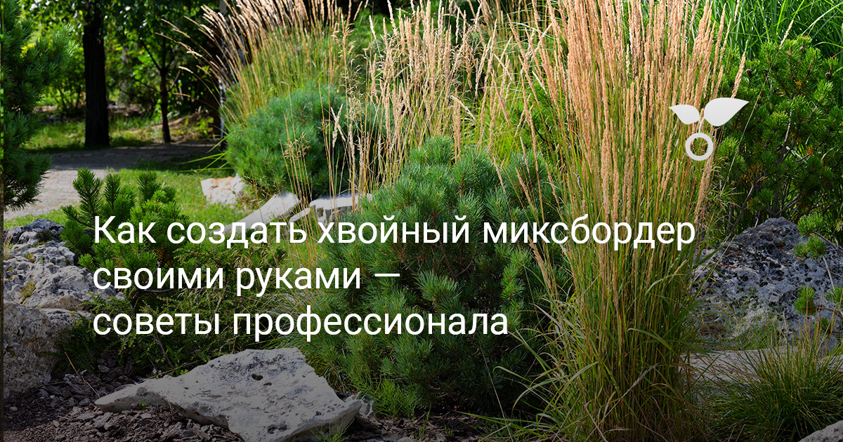 Глава одиннадцатая: Москва. Кавказ. Первые поездки в Турцию (1993-1995)