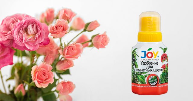 Органоминеральное удобрение JOY «Для комнатных цветов», 250 мл хорошо предотвращает хлорозы