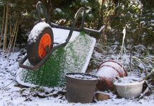 Шпаргалка на ноябрь — важные садово-огородные дела