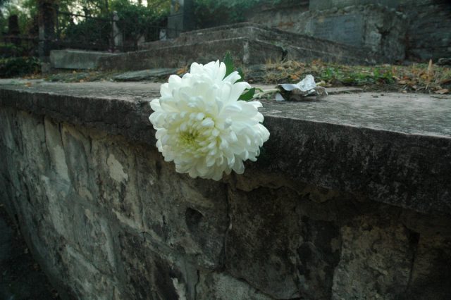 В Европе, напротив, цветки хризантемы ассоциируются со скорбью и смертью