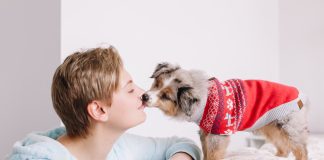 10 ошибок владельцев щенков: как вырастить здоровую и воспитанную собаку?